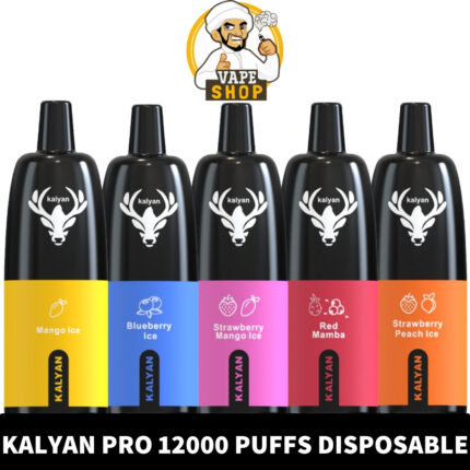 Vape Shop AE - KALYAN PRO 12000 Puffs Price in Dubai KALYAN Pro 12000 Puffs 50MG Disposable Vape - Image 1