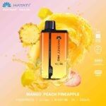 HAYATI Pro Ultra 15000 Puffs dual flavours 2% Nicotine Disposable Vape in Dubai - Image 7