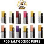 Pod Salt Go 2500 Puffs 2%(20mg) vape shop in Dubai uae - Image 2
