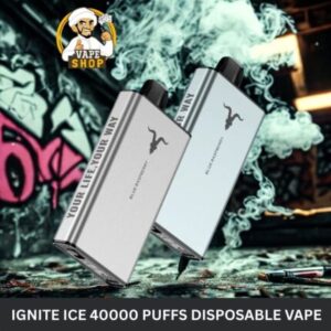 Ignite Ice 40000 Puffs Disposable Vape Icy Flavor Control In The UAE